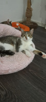 /album/15-06-20251/d505ca29-2535-44df-a95e-305b2ae8bd8a-jpeg/