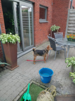 /album/09-07-2025/3585f97e-1a13-4864-a0fc-57204c3b0141-jpeg/