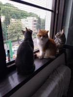 /album/13-07-20251/7c5661c1-b2d0-4fd7-9087-426c9cd7d27f-jpeg/