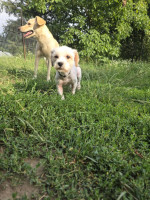 /album/187/12e632f2-6919-4a3a-abd1-eff2a63376e9-jpeg/