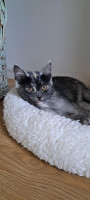 /album/15-07-2025/f72cc0e3-c470-4595-b57f-e99959947f48-jpeg/