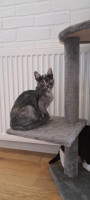 /album/22-07-20251/c590d399-4a08-405b-97d1-8afeded0eb9e-jpg/