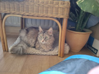 /album/augustus-2025/img-20250816-wa0043-jpg/