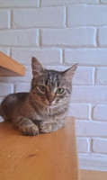 /album/30-07-20251/55f1c9bc-c866-4211-b077-6fc559b68e27-jpg/