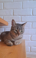 /album/30-07-20251/5e5801e3-564e-4076-be82-fcbb10ed7616-jpg/
