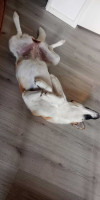/album/02-09-2025/611a65cd-1938-47e5-8eb4-28fd164db713-jpeg/