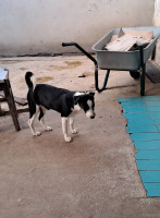 /album/65/531524568-1117852947109437-5611774914580646879-n-jpg/
