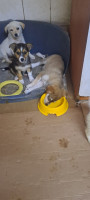 /album/110/503841773-2426196561099851-565177479290831387-n-jpg1/