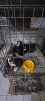 /album/110/503641307-2426196501099857-6090551081644049590-n-jpg2/