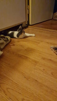 /album/11-09-2025/25a74767-73b3-4642-ba62-b67849d5458f-jpeg/