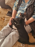 /album/11-09-20251/4d6edcc3-ede3-4760-886c-3620f70fdb97-jpeg/