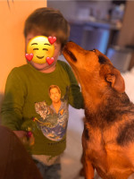 /album/13-09-2025/545809149-122117798120960188-6324010460813380550-n-jpg/
