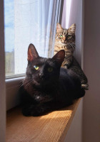 /album/19-09-2025/img-20250919-wa0009-jpg/