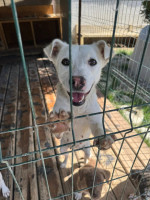 /album/164/524256292-1164490462376958-2719718358129197673-n-jpg/