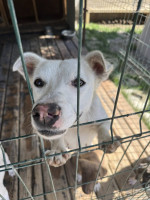 /album/164/524183686-1164490545710283-4561329488568266455-n-jpg/