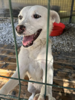 /album/164/524335303-1164490582376946-3509482016340386487-n-jpg/