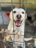 /album/164/523806228-1164490475710290-3511347203804900425-n-jpg/