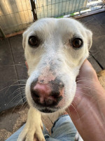 /album/164/524134982-1164490509043620-3715584623004624167-n-jpg/