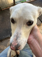 /album/164/524883723-1164490575710280-4441772263564630358-n-jpg/