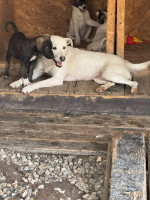 /album/164/524347080-1164490535710284-6249888378772608921-n-jpg/