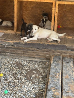 /album/164/524619937-1164490502376954-736511742126891991-n-jpg/