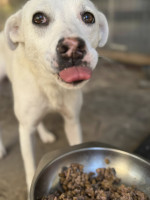 /album/164/527532538-1169849435174394-8515159693050588355-n-jpg/