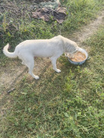 /album/164/527564496-1169849448507726-459551224801151341-n-jpg/