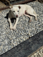 /album/164/539957845-1190555133103824-8023184952973758516-n-jpg/