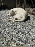 /album/164/539807105-1190555159770488-4406976148383855736-n-jpg/