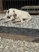 /album/164/540467961-1190555126437158-8013590184033473931-n-jpg/