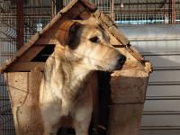 /album/22-11-2024/dsc-3247-jpg/