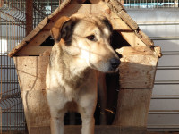 /album/22-11-2024/dsc-3245-jpg/