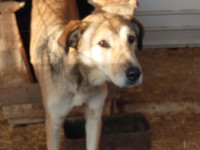 /album/22-11-2024/dsc-3243-jpg/