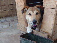 /album/22-11-2024/dsc-2289-jpg/