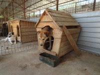 /album/22-11-2024/dsc-2287-jpg/