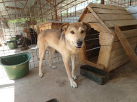 /album/22-11-2024/dsc-2286-jpg/