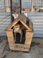 /album/28-08-2025/20250828-122228-jpg/