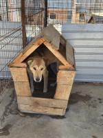 /album/28-08-2025/20250828-122225-jpg/