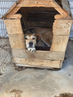 /album/28-08-2025/20250824-124120-jpg/