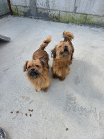 /album/05-06-20252/20250605-165613-jpg/