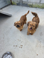 /album/05-06-20252/20250605-165610-jpg1/