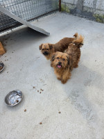 /album/05-06-20252/20250605-165607-jpg1/