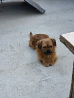 /album/05-06-20252/20250605-165153-jpg/