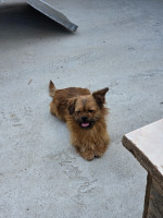 /album/05-06-20252/20250605-165107-jpg/