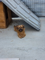 /album/05-06-20252/20250605-165021-jpg/