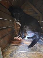 /album/27-08-20253/20250827-100621-jpg/