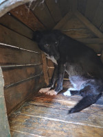 /album/27-08-20253/20250827-100616-jpg/