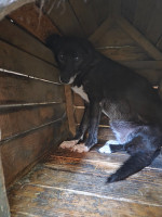 /album/27-08-20253/20250827-100611-jpg/