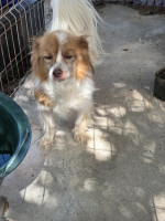 /album/24-08-20253/20250824-122631-jpg/