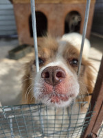 /album/24-08-20253/20250824-105944-jpg/